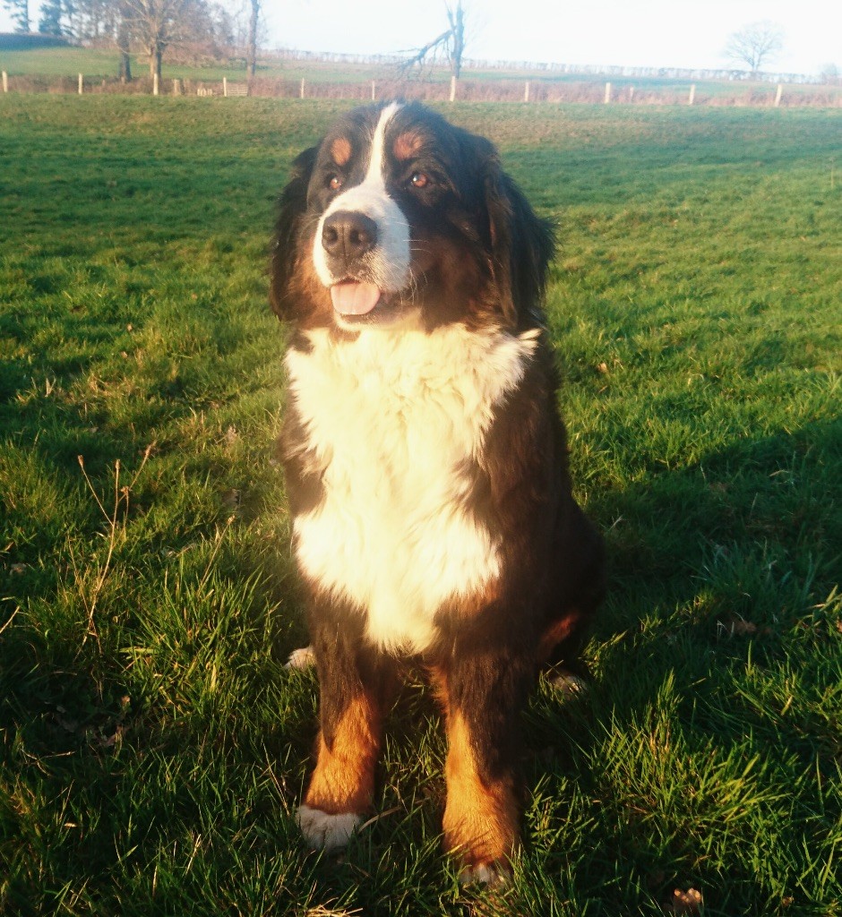 Lord Of Berners Oprah