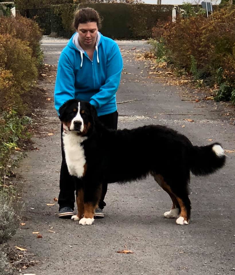 Lord Of Berners Quiero