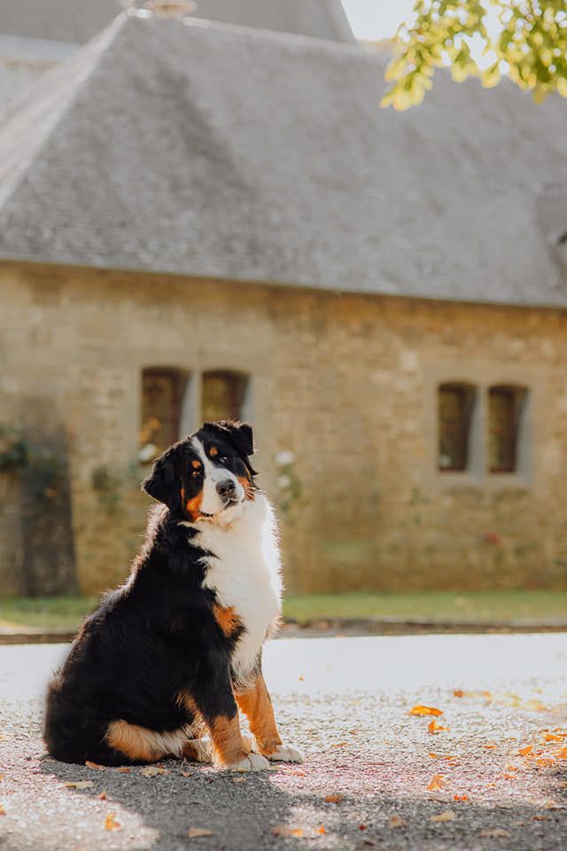 Lord Of Berners Queguappa