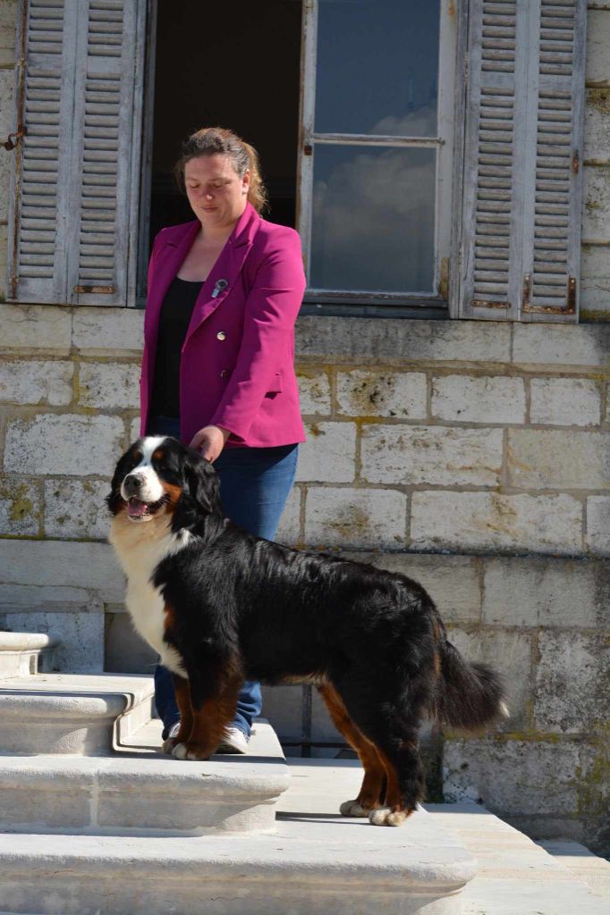 Wonderful withley vd berner vallei